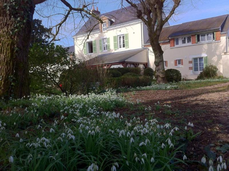 Hotel La Villa Marjane Saint-Jean-le-Blanc Esterno foto